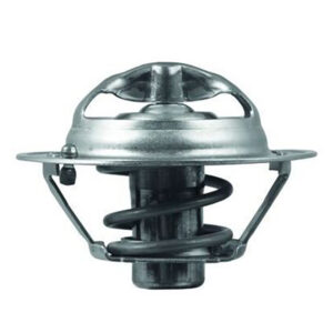 منظم حرارة الماء (ترموستات)