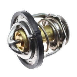 منظم حرارة الماء (ترموستات) Renault