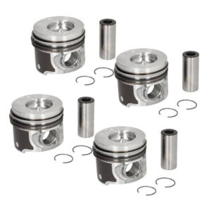 مكبس مع حلقات Nural STD